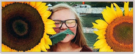 Sunflower Harvest Tour for Groups and Classes